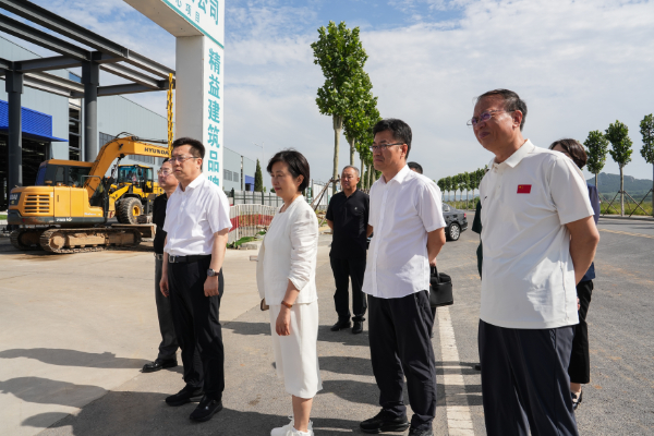 省教育厅厅长王庆东一行莅临东升国际官网集团再生资源绿色分拣中心项目调研领导(图3)